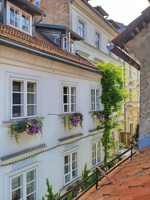 Apartment Perfect Location Free Wifi Center Three People