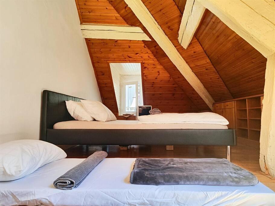 Perfect Location Free Wifi Center Three People Ljubljana